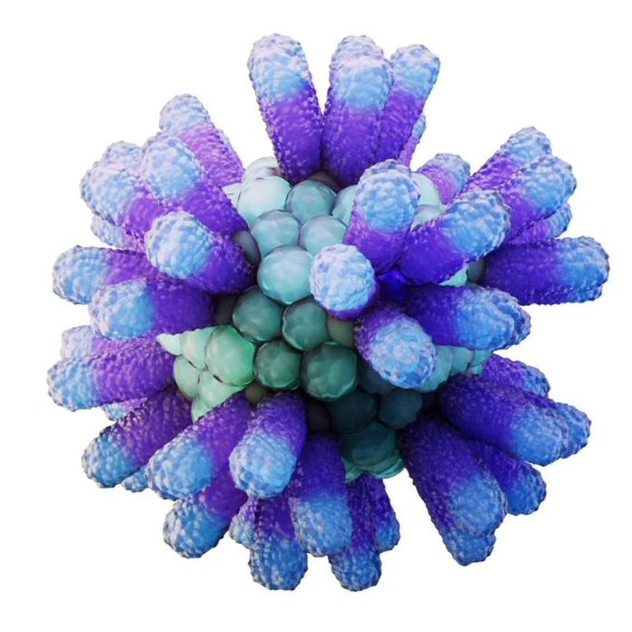 Anellovirus