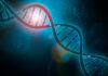 BPI News: Cell Line Development’s Critical Role in Gene Therapy