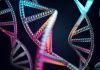 Genetic Predisposition to Chronic Pain Disorder Identified, With Greater Effect in Men