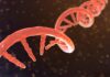 Delivering on the Promise of Personalized mRNA Therapeutics