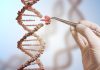 CRISPR Cures 2033: Expanding the Public Health Impact of Gene Editing