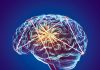 Brain Metastasis Hacks Brain Activity and Jams Neuronal Communication