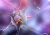 Circular RNAs Identified in Brain Cells Impaired by Alzheimer’s, Parkinson’s