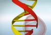 Integrated DNA Technologies Opens Therapeutic Manufacturing Facility